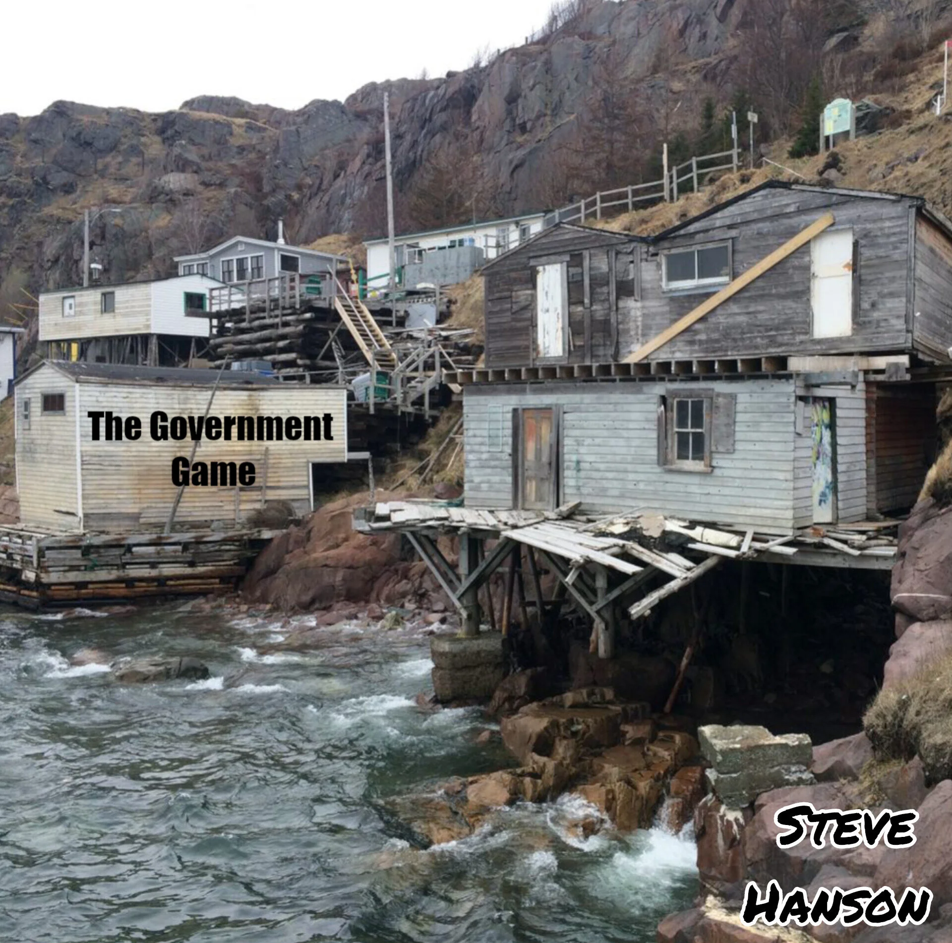 The Government Game